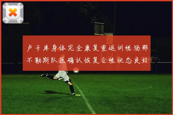 卢卡库身体完全康复重返训练场那不勒斯队医确认恢复合练状态良好