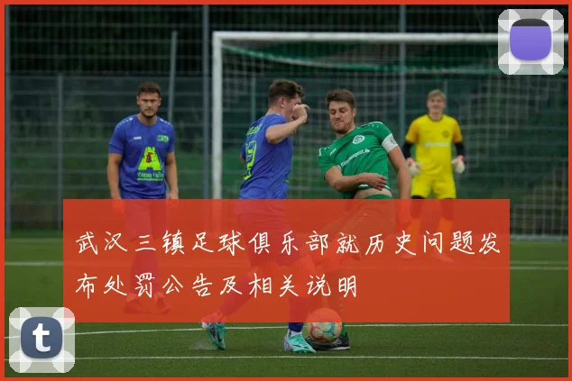 武汉三镇足球俱乐部就历史问题发布处罚公告及相关说明