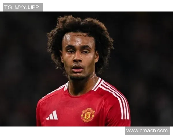 希勒称库尼亚和姆伯莫状态出色舍什科受伤影响有限 希勒称库尼亚和姆伯莫状态出色舍什科受伤影响有限